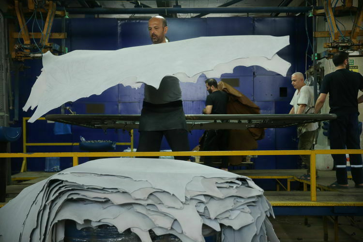 Kurban derisini korursanız 15 milyar lira cebinizde kalacak