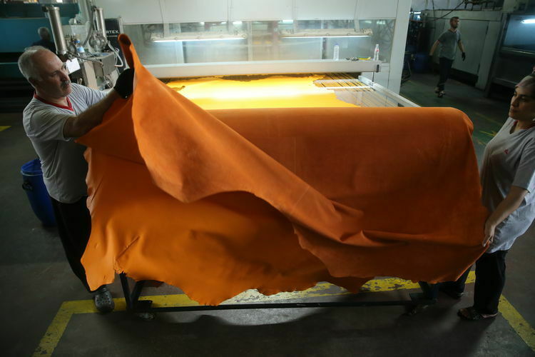 Kurban derisini korursanız 15 milyar lira cebinizde kalacak