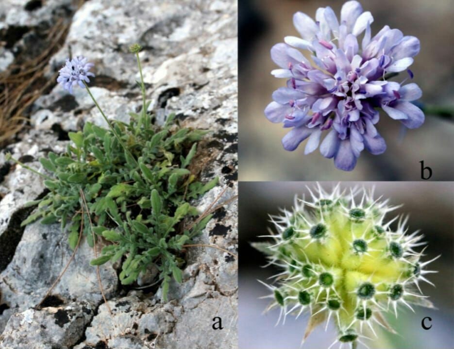 Whatsapp Image 2024 06 19 At 10.09.55