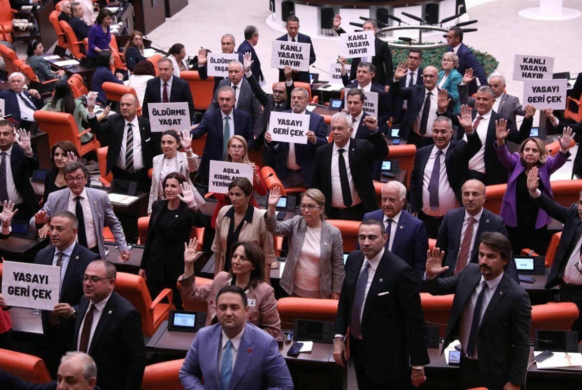 Sokak hayvanları uyutulmasını öngören kanun TBMM Genel Kurulu'nda kabul edildi