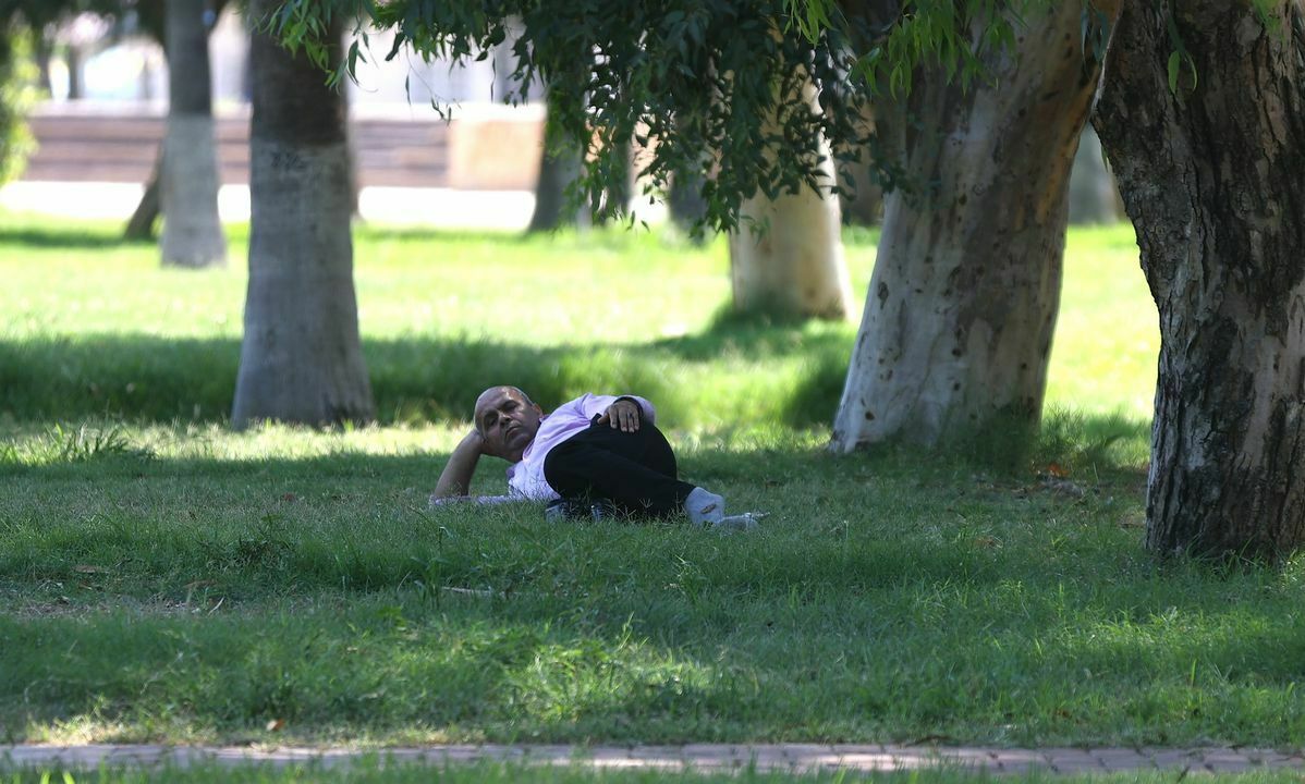 A A 20240728 35254086 35254084 D O G U A K D E N I Z D E S I C A K H A V A N I N E T K I S I S U R U Y O R Result