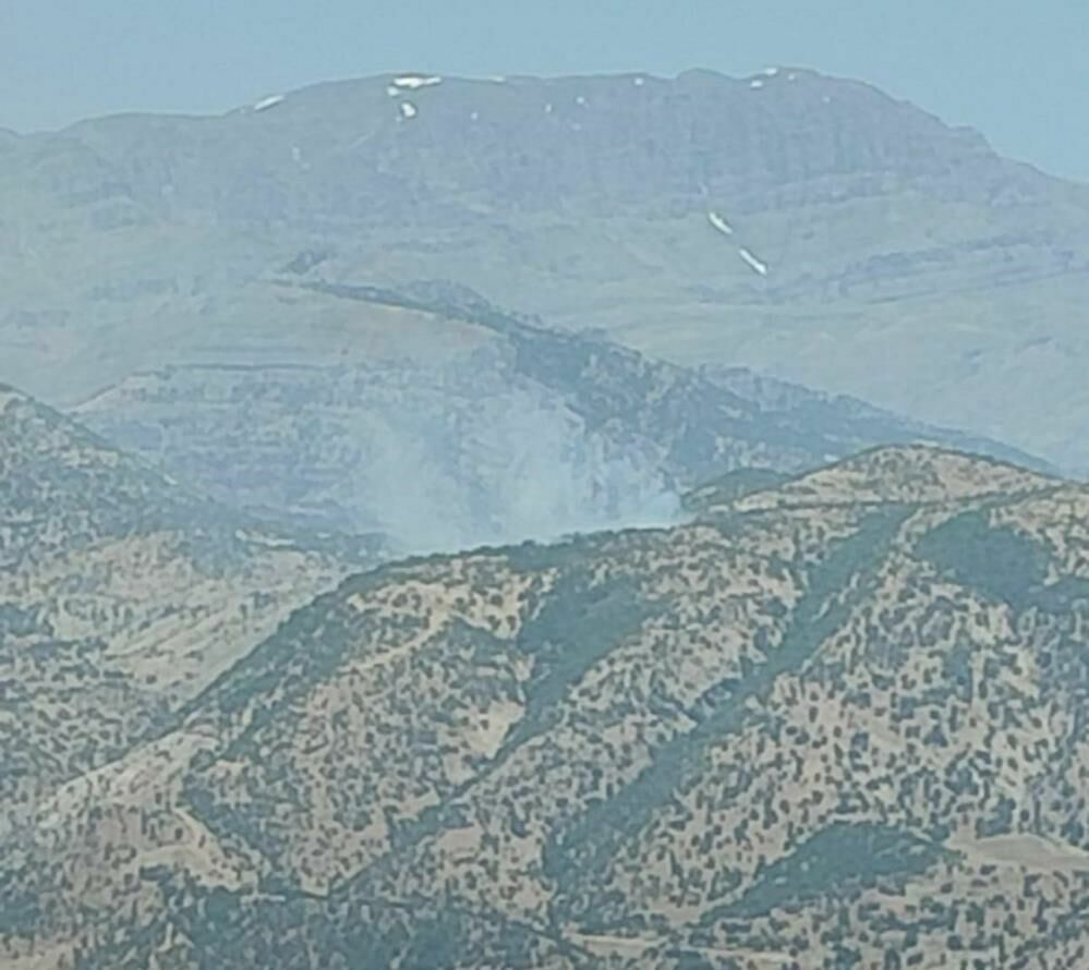 Şırnak'ta orman yangını paniği: Ekipler ve köylüler seferber oldu