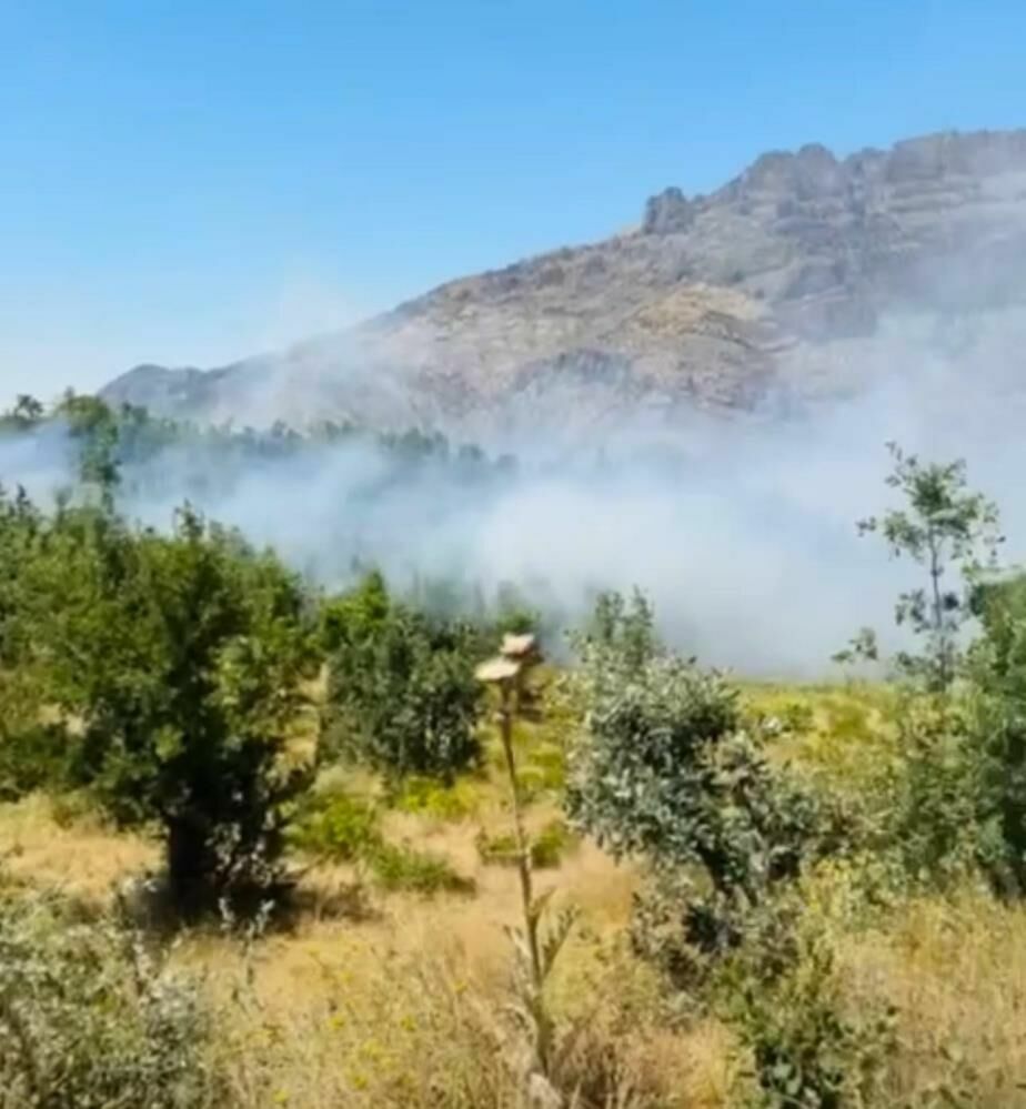 Şırnak'ta orman yangını paniği: Ekipler ve köylüler seferber oldu