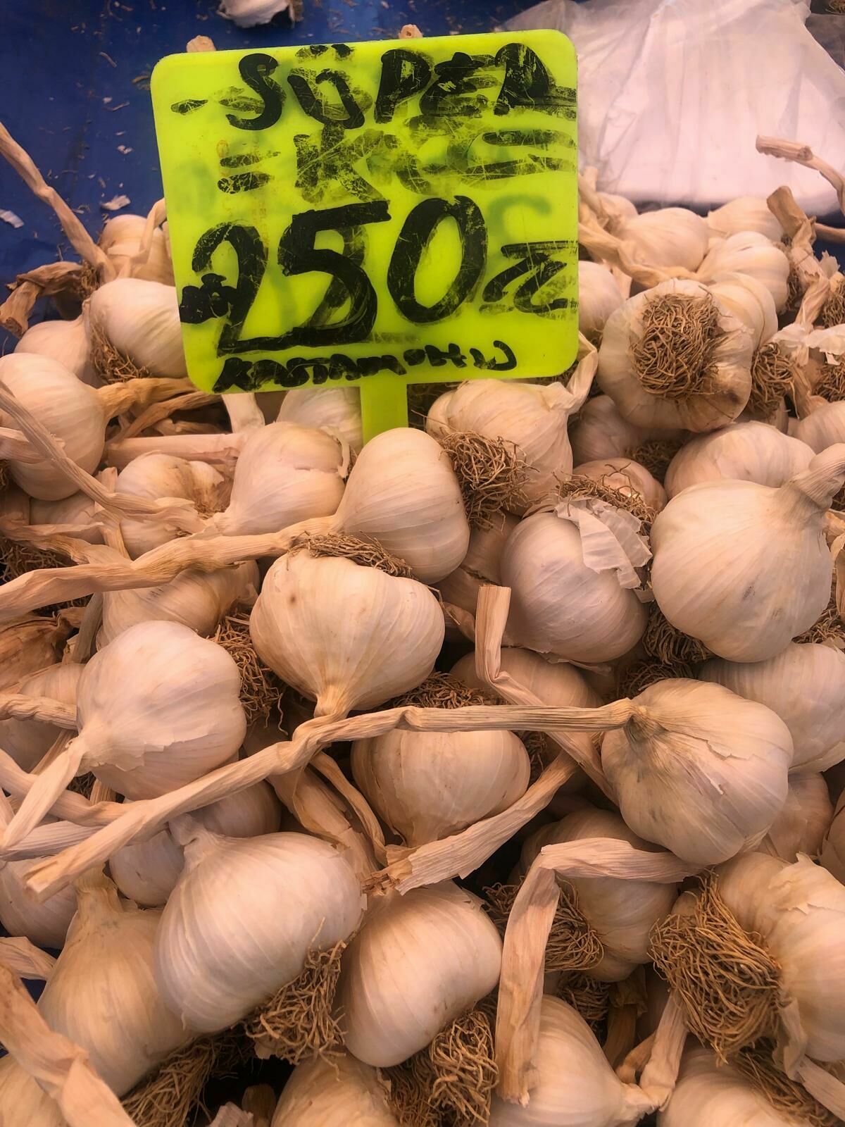 I M G 20240730 W A0070