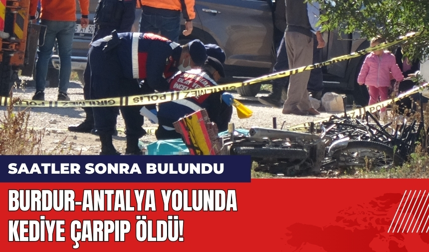 Burdur Antalya Yolunda Kediye Çarpıp Öldü 2