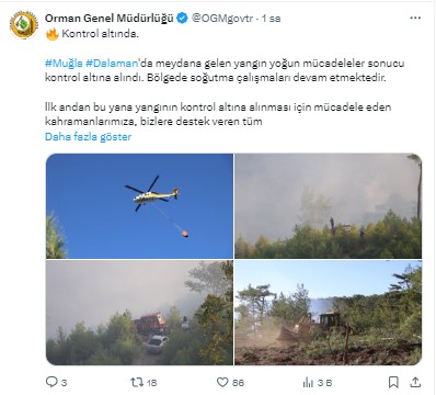 Dalaman Orman Yangını 3. Günde Kontrol Altına Alındı 6