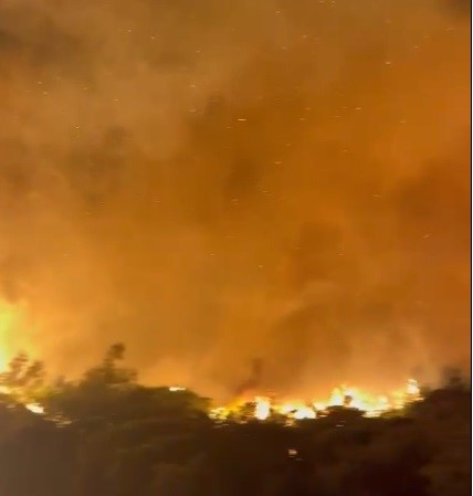 Marmaris Hisarönü'nde Orman Yangını Çıktı 2