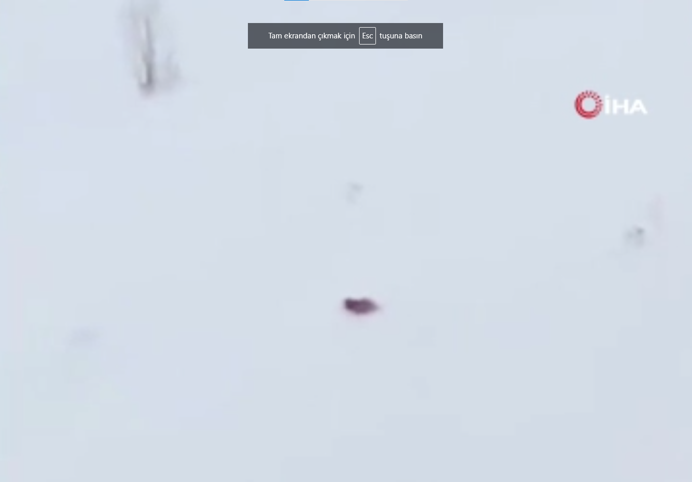 Rize'de Yaylada Kış Uykusuna Yatmayan Ayıya Komik Uyarı: 