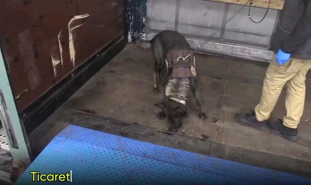 Edirne Hamzabeyli Sınır Kapısı'nda 17 Kilogram Kokain Yakalandı