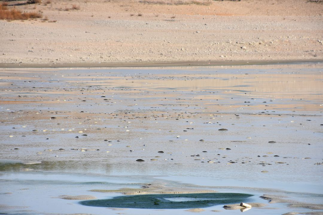 Karaman'da 1 Yılda 4 Baraj Kurudu Balıklar Can Çekişiyor 5