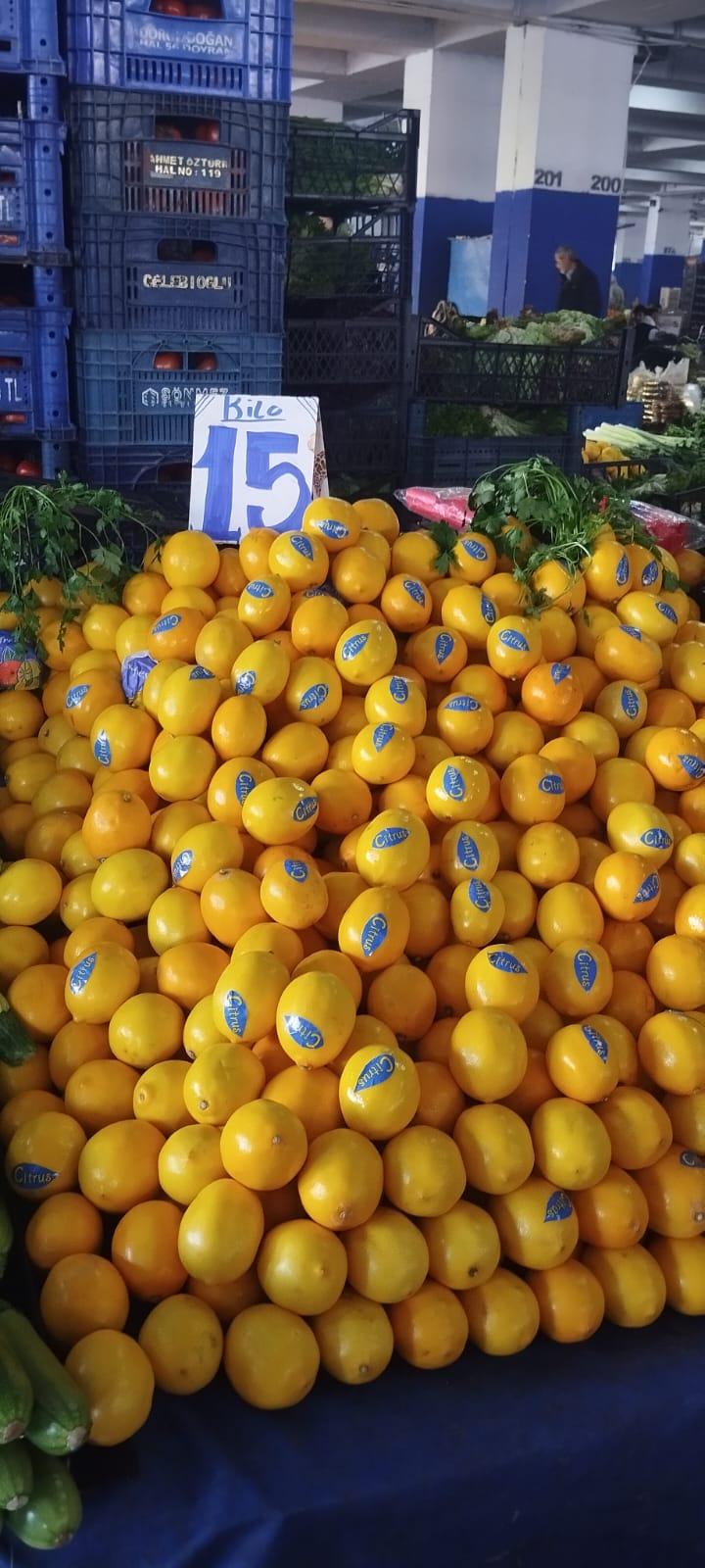 Antalya'da Sebze ve Meyve Fiyatları Cep Yakıyor!