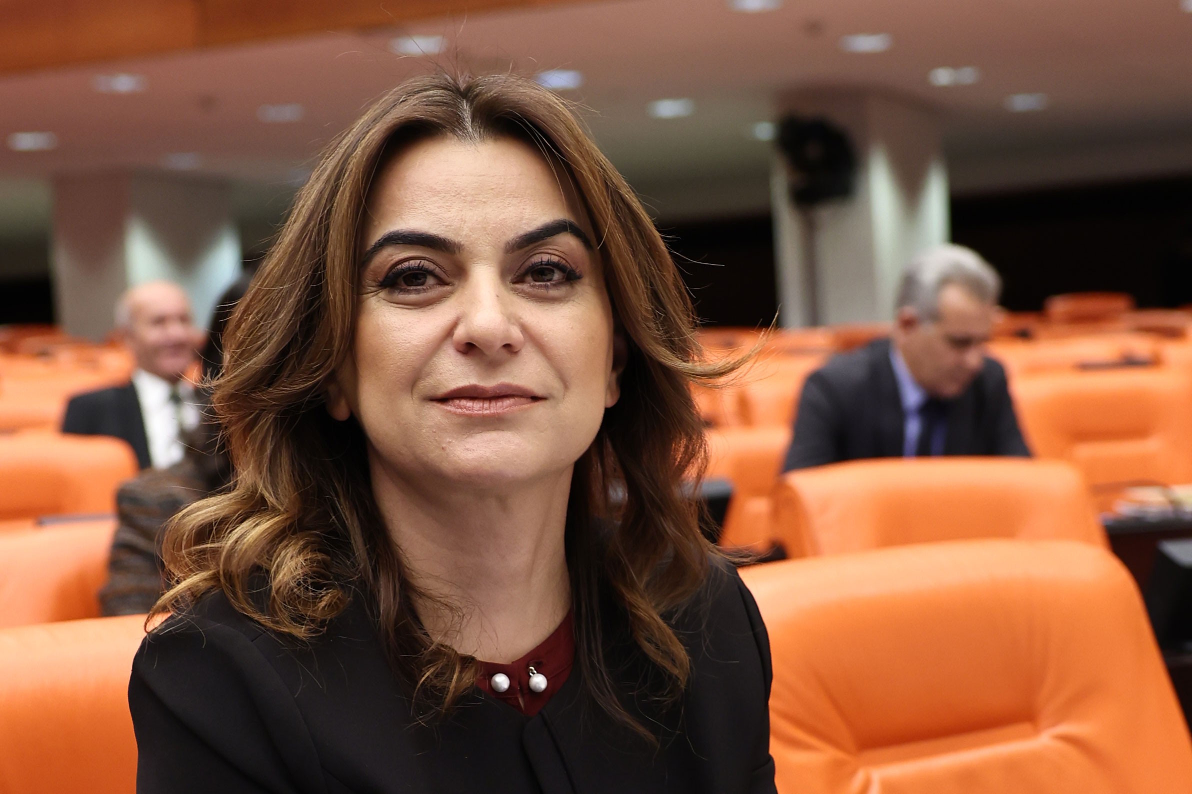 DEM Parti'den İmralı Açıklaması: 