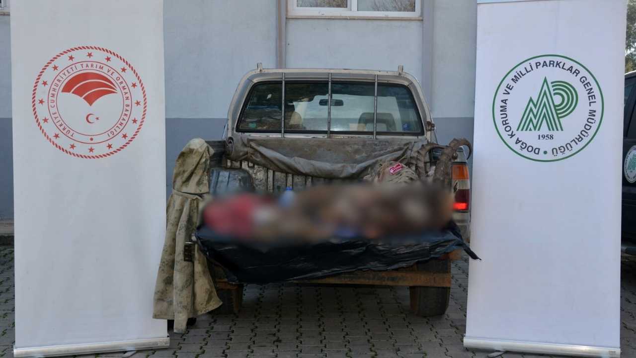 Antalya'da Yaban Keçisi Avlayanlara 1.35 Milyon Tl Ceza! 2