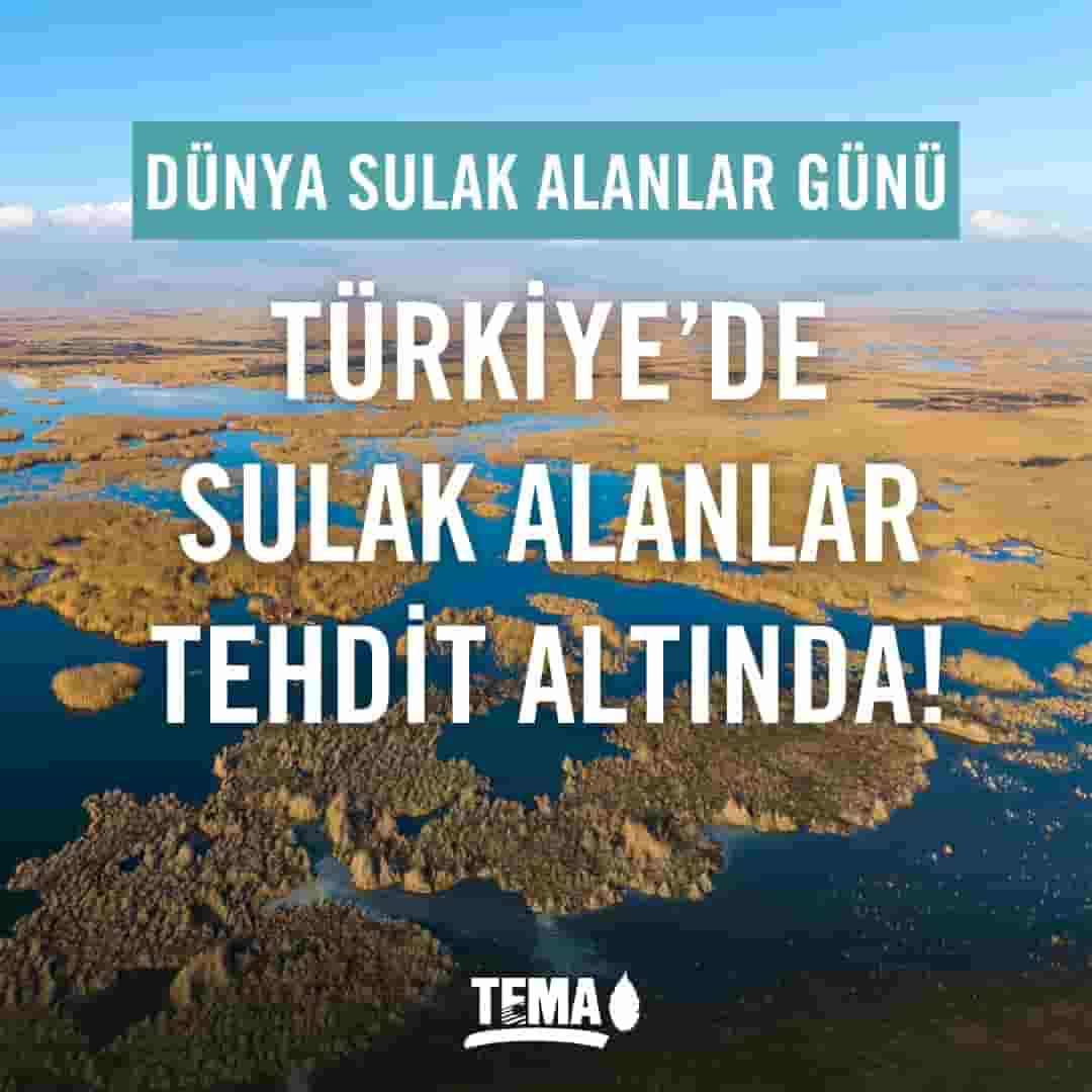 Whatsapp Image 2025 02 02 At 11.07.04 Min