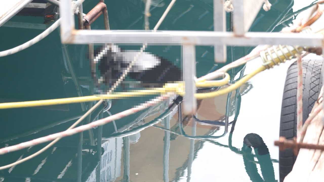 Konyaaltı'nda Erkek Cesdi Bulundu! Sırrı Ortaya Çıktı 3
