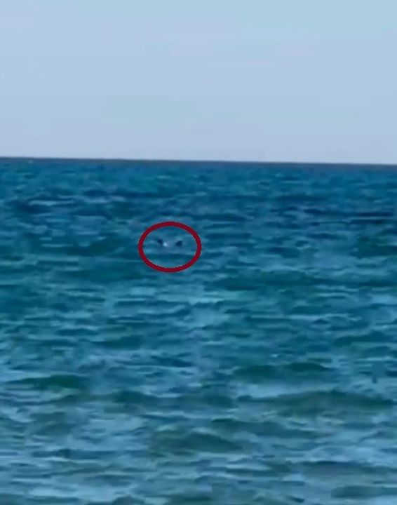 Manavgat'ta Zıpkınla Balık Avlarken Boğuldu! Son Anları Ortaya Çıktı 3