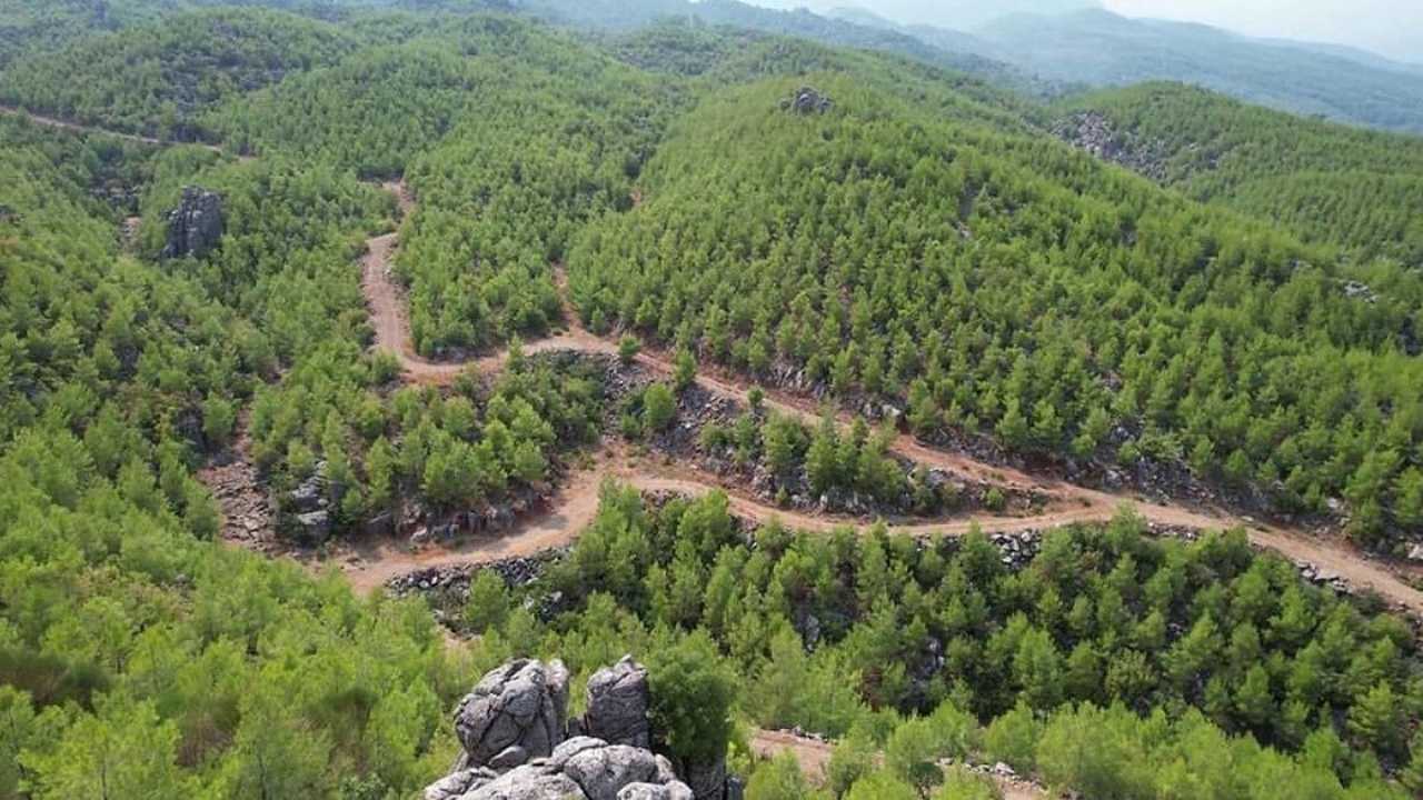 'Ormanı İşgal Etmenin Haklı Gerekçesi Olmaz' 3
