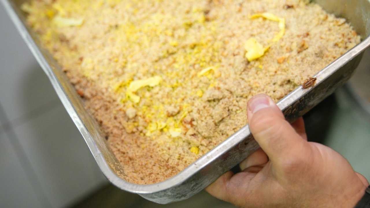 Adana’da O Tatlıcıya Böcek Cezası2