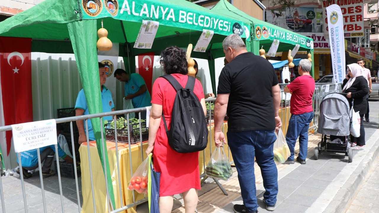 Alanya'da 24 Bin 700 Su Kabağı Fidesi Dağıtılacak 3