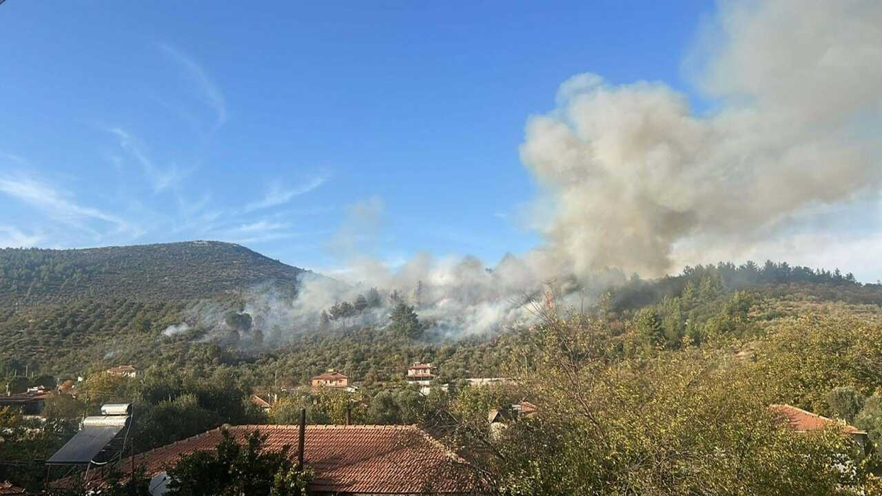 Antalya’da Kasıt Ve İhmale Bağlı Orman Yangınları Artıyor2
