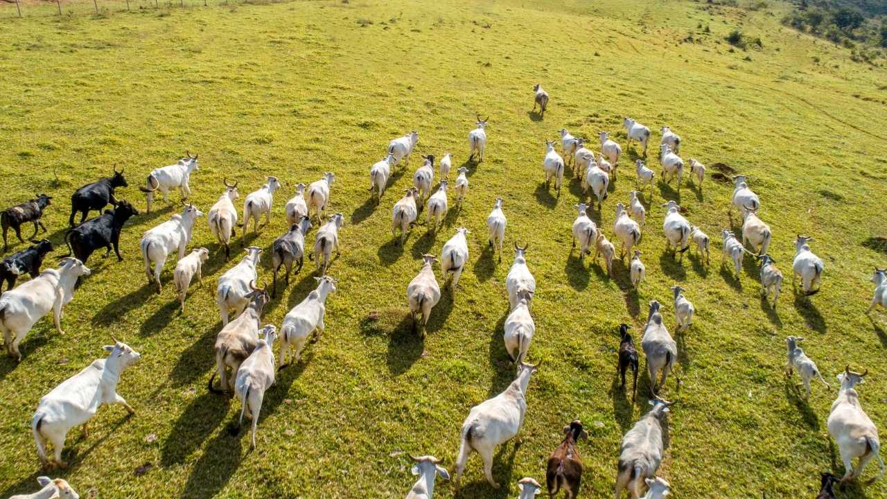 Antalya’da Meralar Etkin Kullanılamıyor 2