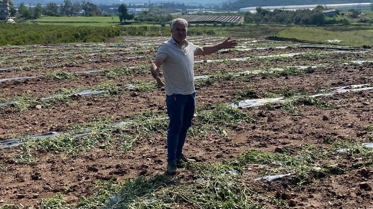 Antalya’da Yıldırımla Çıkan Yangın Doluyla Söndü2
