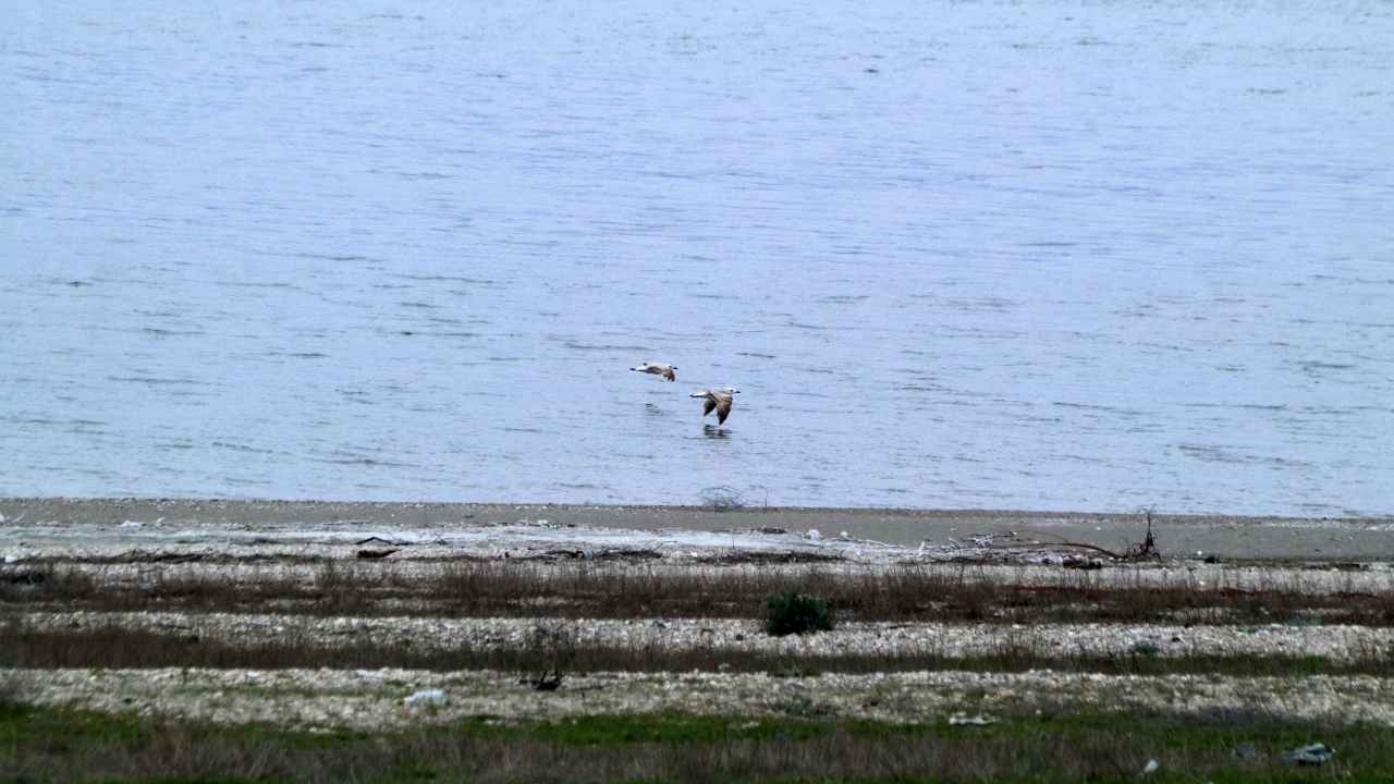 Burdur Gölü Nasıl Kurtulur Profesörden Yeşil Kuşak Önerisi 4