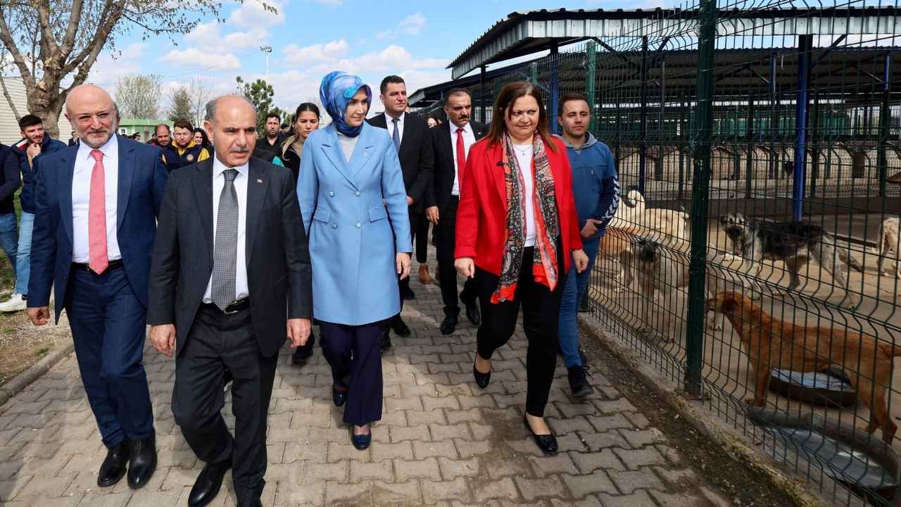 Burdur Ve Isparta Dahil 51 İlde Sokak Hayvanlarına Özel Alanlar Oluşturulacak 2