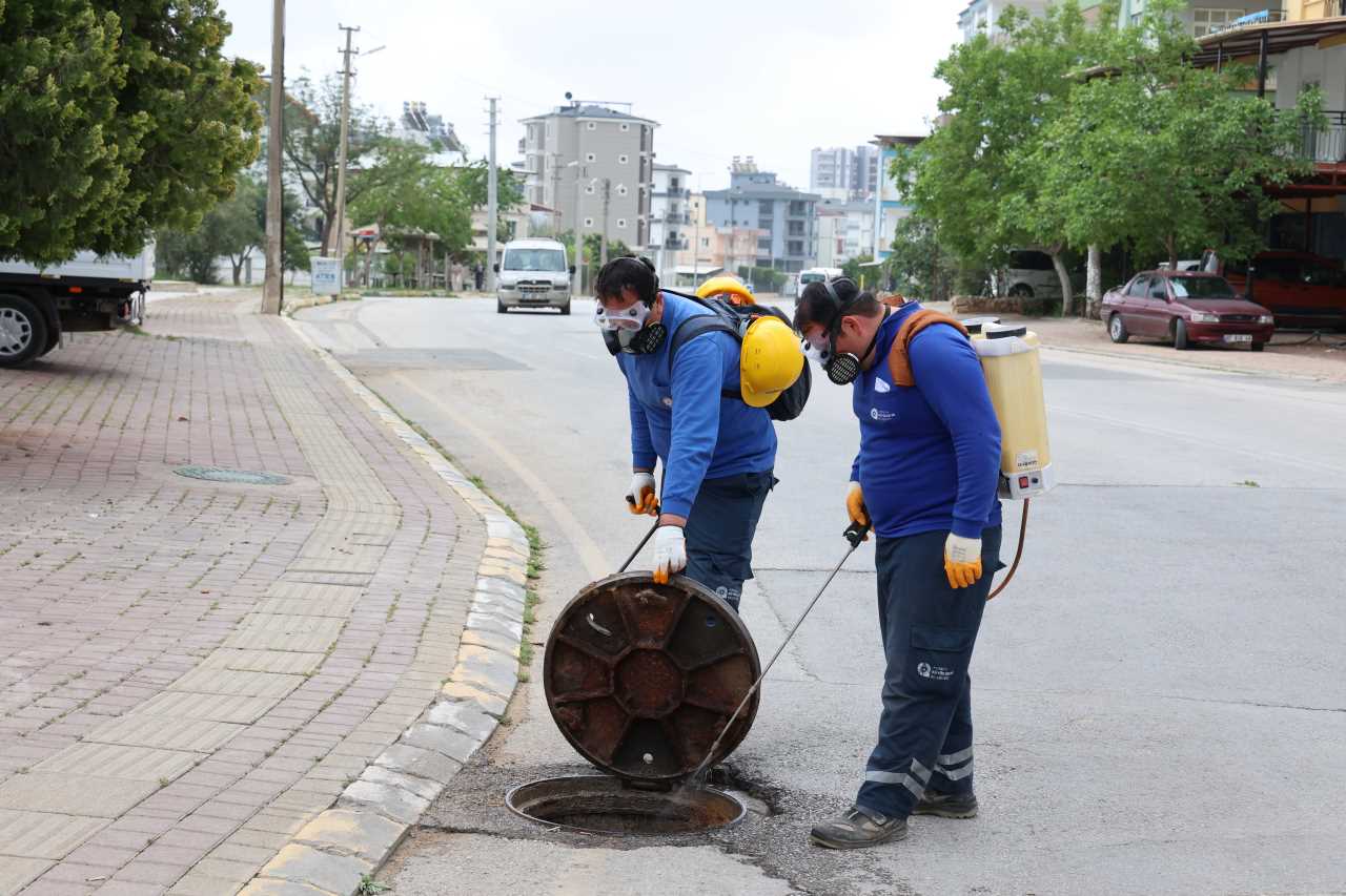 Antalya’da Vektörle Mücadele Bin 600 Personelle Sürüyor 1