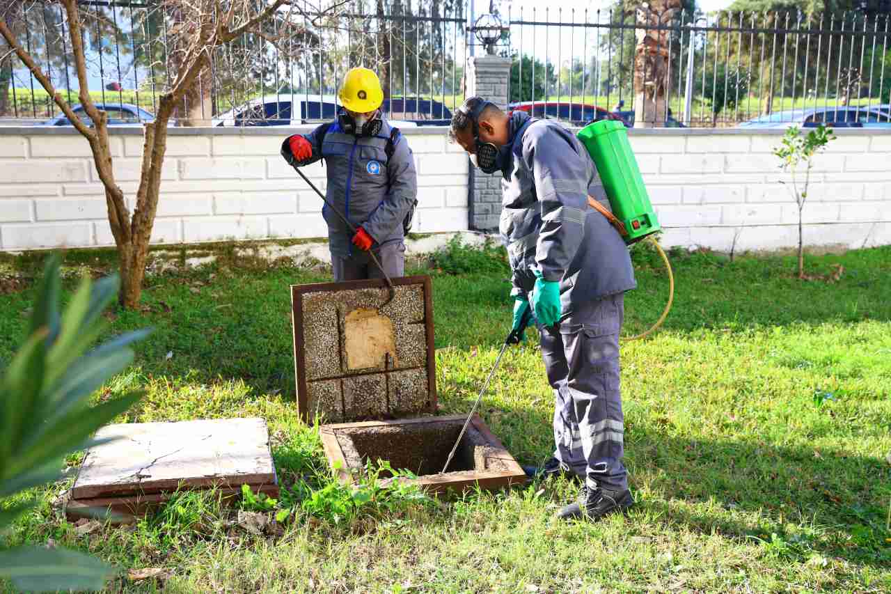 Antalya’da Vektörle Mücadele Bin 600 Personelle Sürüyor 3