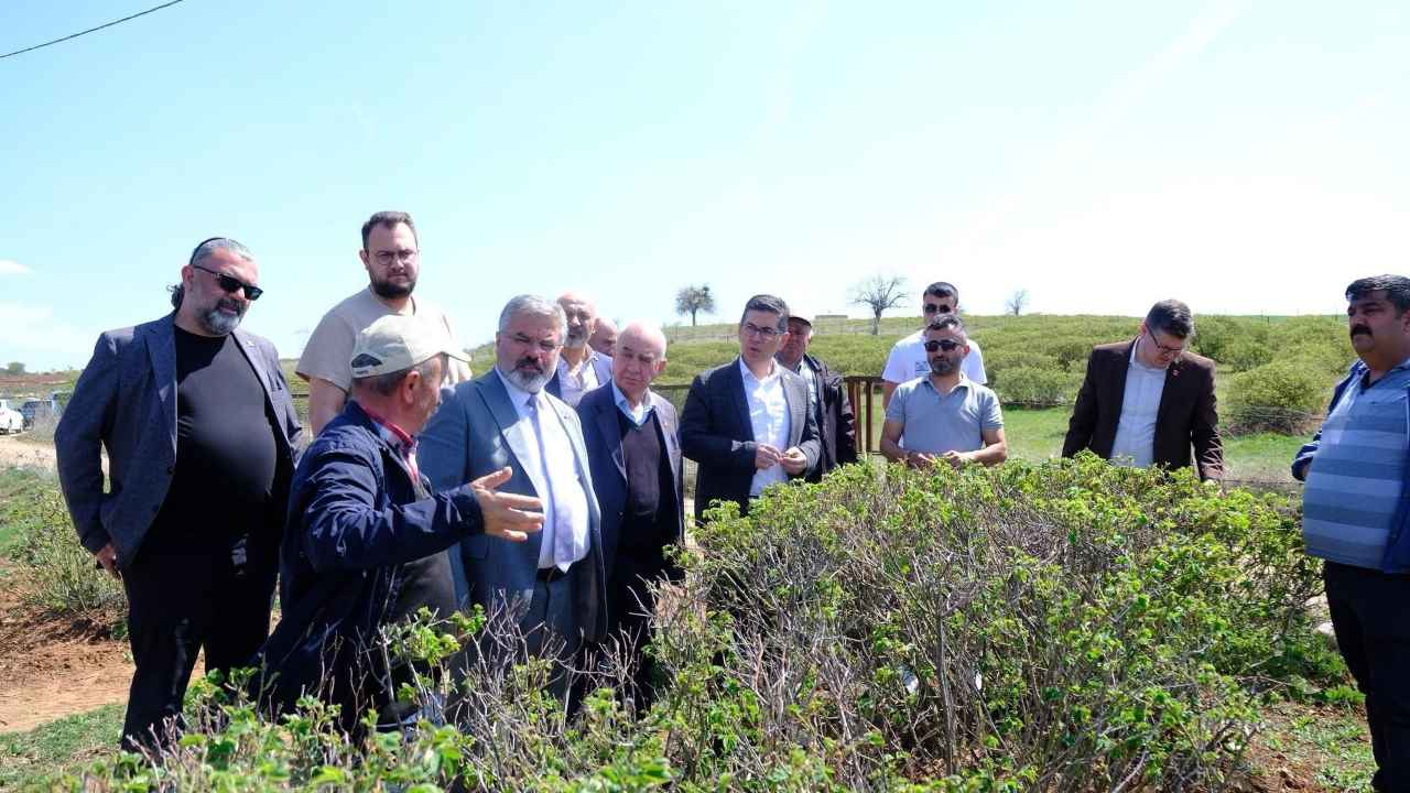 Isparta’da Zirai Don Tarımsal Üretime Darbe Vurdu! “Son 50 Yılın En Ağır Zararı” 2
