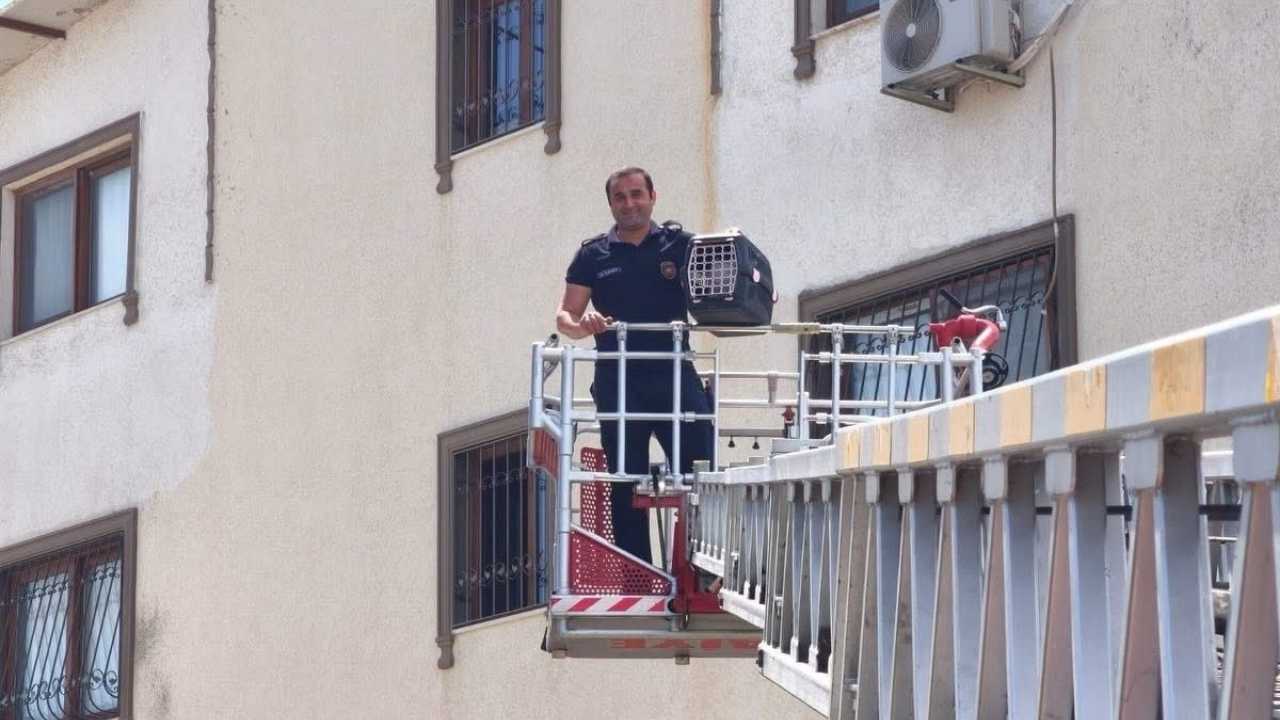 Hatay’da Film Gibi Kedi Kurtarma Operasyonu2