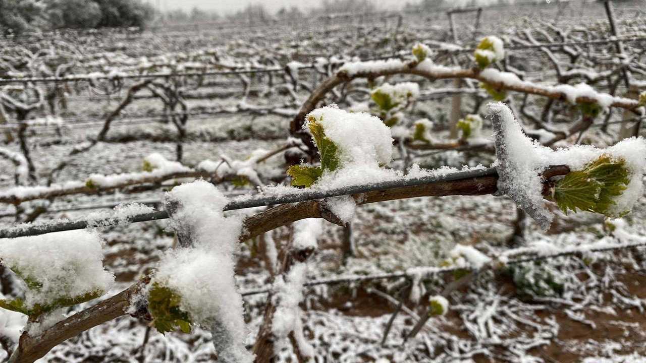 Isparta’da Zirai Don Uyarısı Meteoroloji Açıkladı2