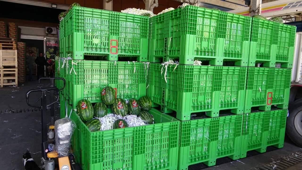 Mersin’de 700 Kilo Karpuz Çalındı, Kayıp 50 Bin Lira2