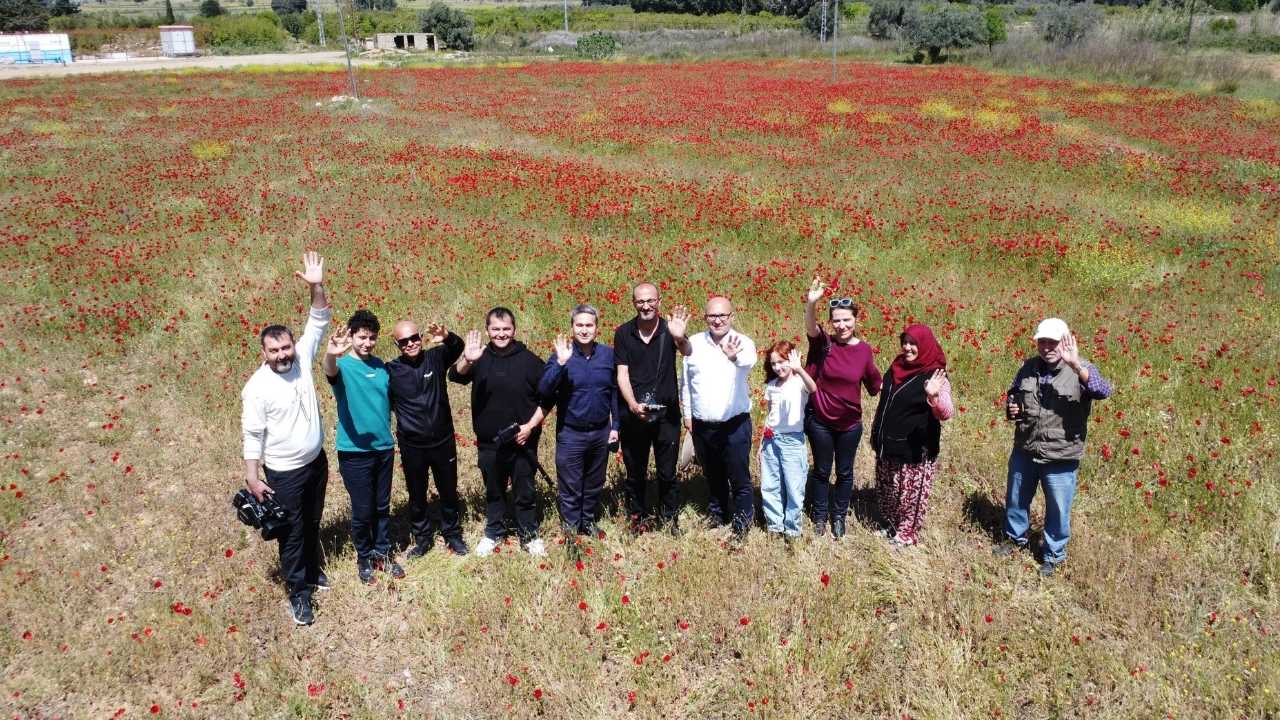 Mersin’de Tablo Gibi Gelincik Bahçesi2