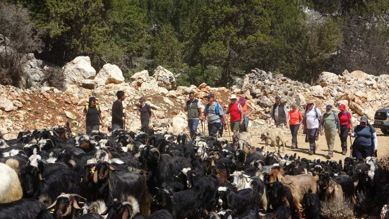 Mersin’de Yörüklerin Yayla Yolculuğu Başladı2