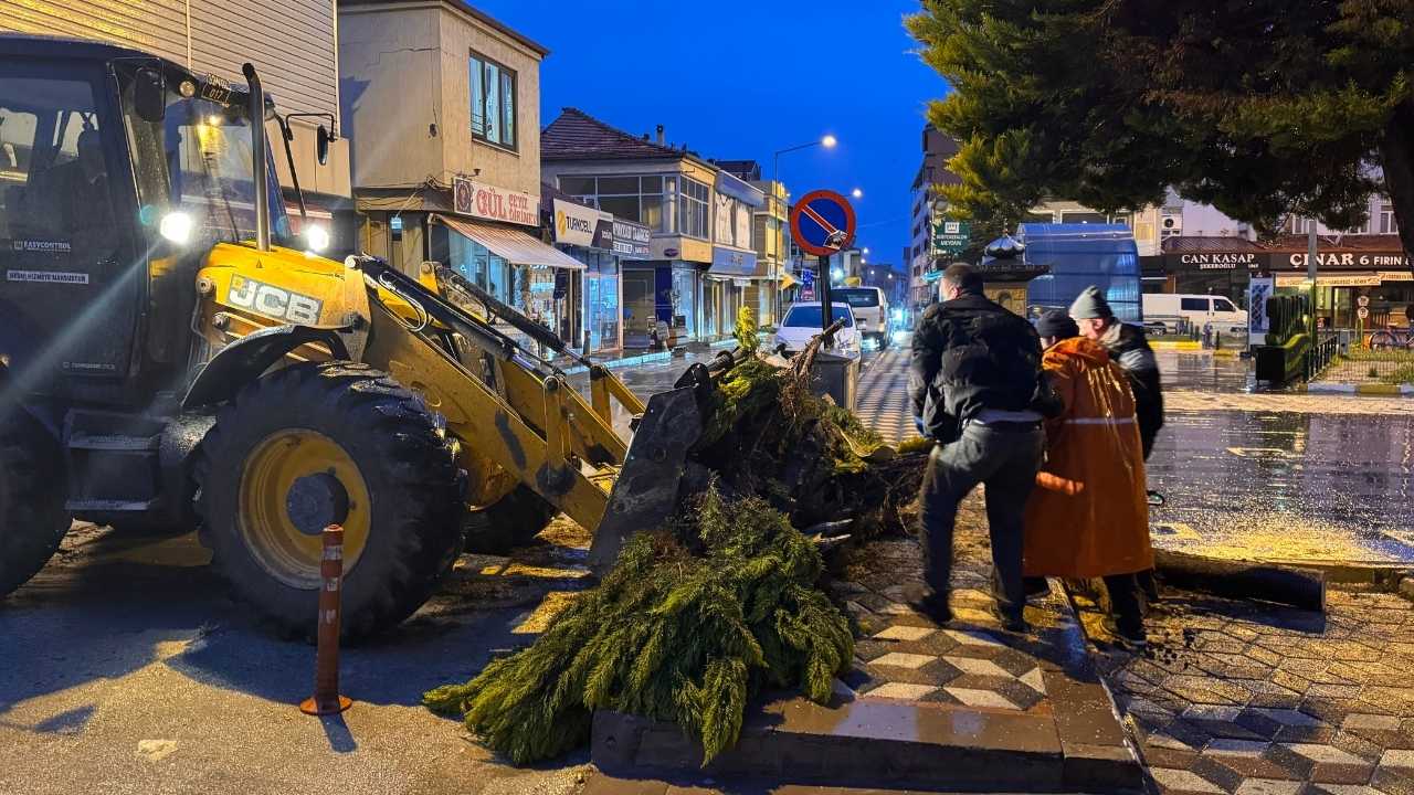 Yalvaç'ta Fırtına Ağacı Kökünden Kırdı! 2