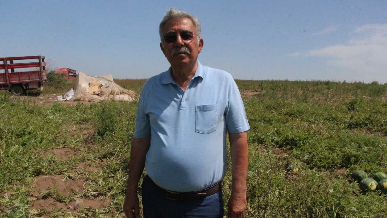 Adana Karpuzuna Tarlada Ayrı Kamyonda Ayrı Fiyat 3