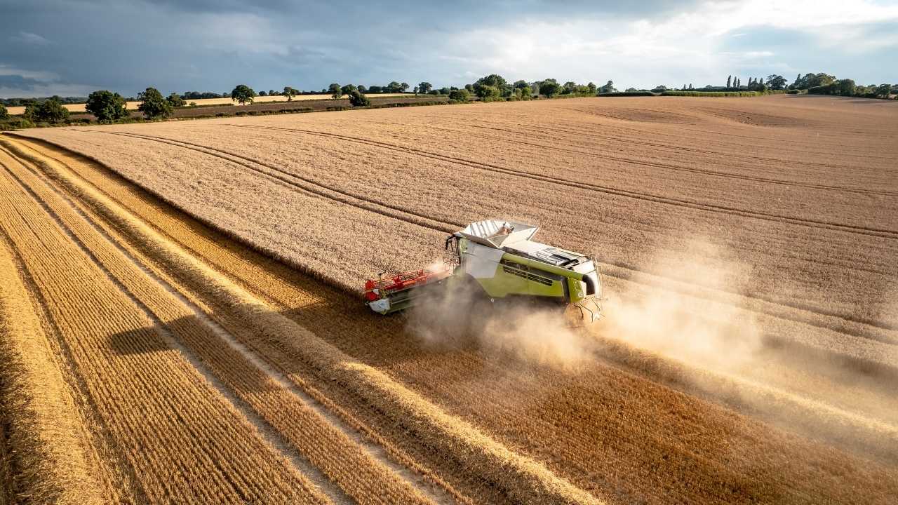 Adana Ve Mersin’de 2025 Buğday Biçim Ücretleri Belirlendi 2