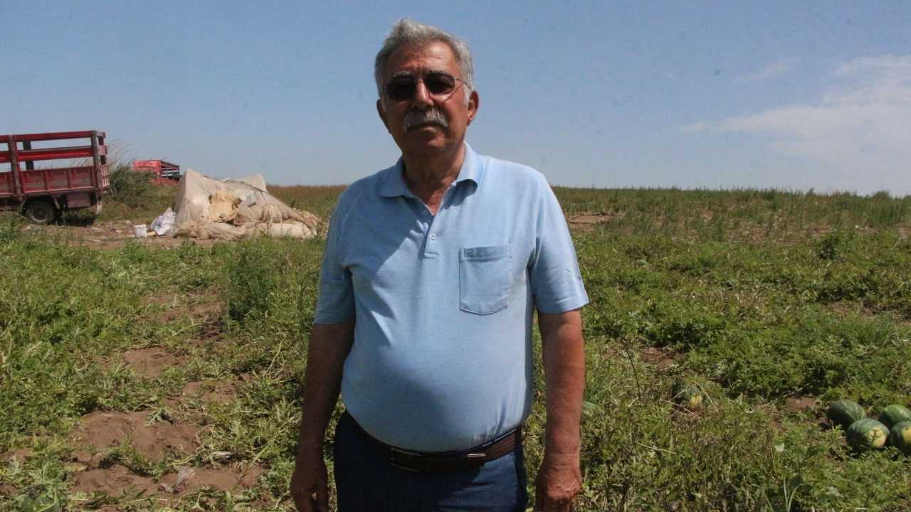 Adana’da Afet Gölgesinde Buruk Karpuz Hasadı 2