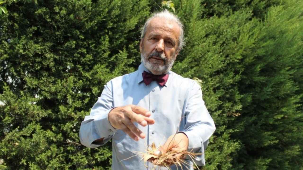 Antalya Kundu’da Yapılacak Mahmuzlar İçin Uzmandan Açıklama  Tuncay Neyişçi