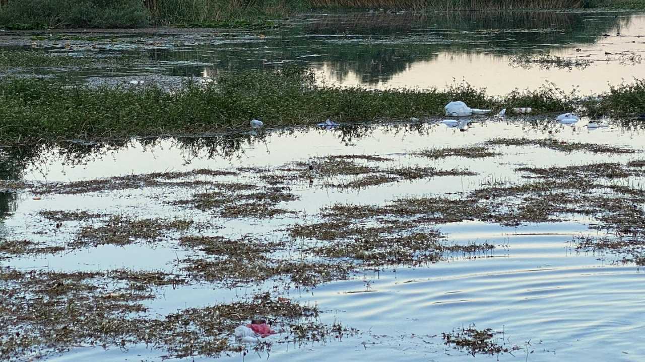 Antalya’nın Su Pınarı Kırkgöz Gölü Alarm Veriyor3