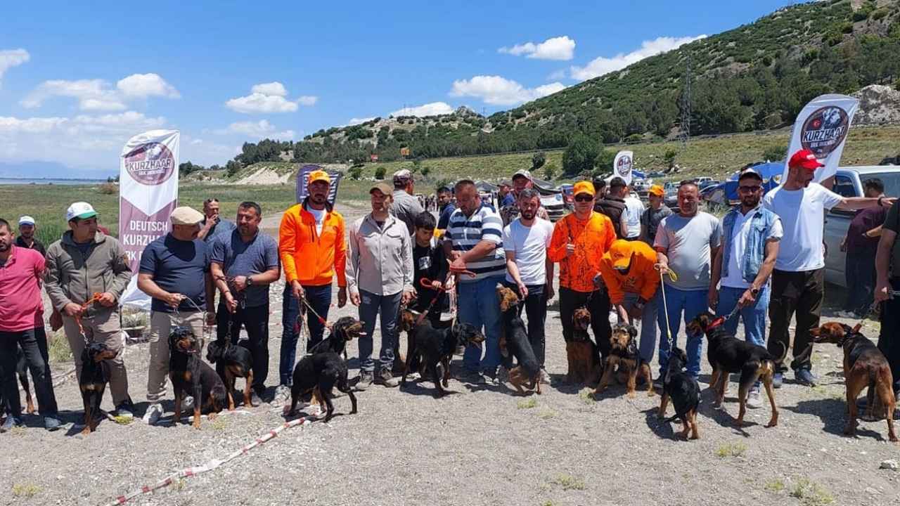 Burdur'da Fermalı Av Köpekleri Yarıştı 3