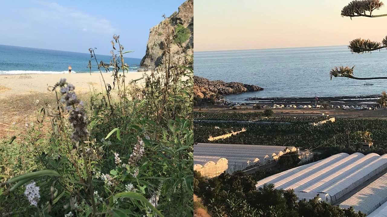 Gazipaşalılar Çed’siz Projede4