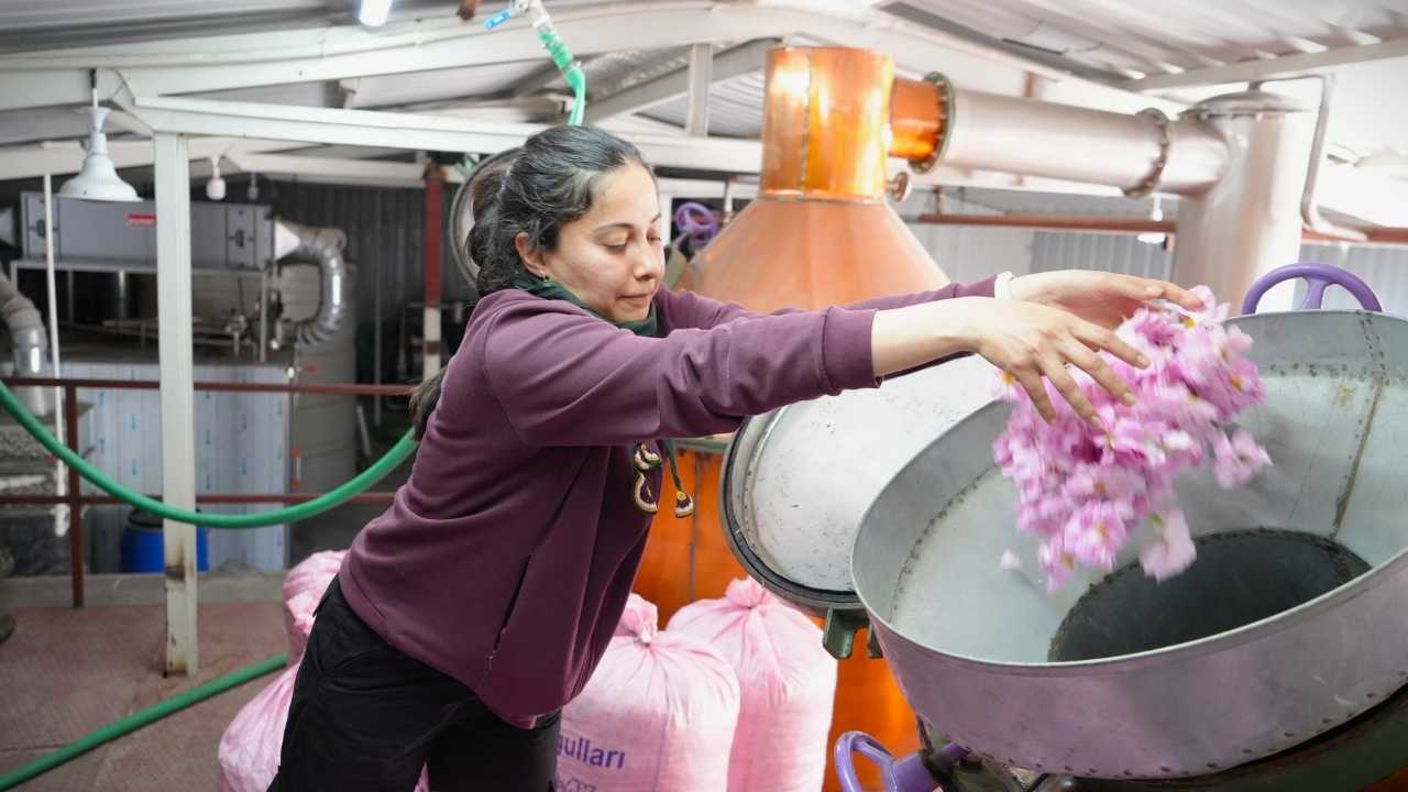 Göller Diyarı Burdur’da Gül Üretimi Çöküyor4