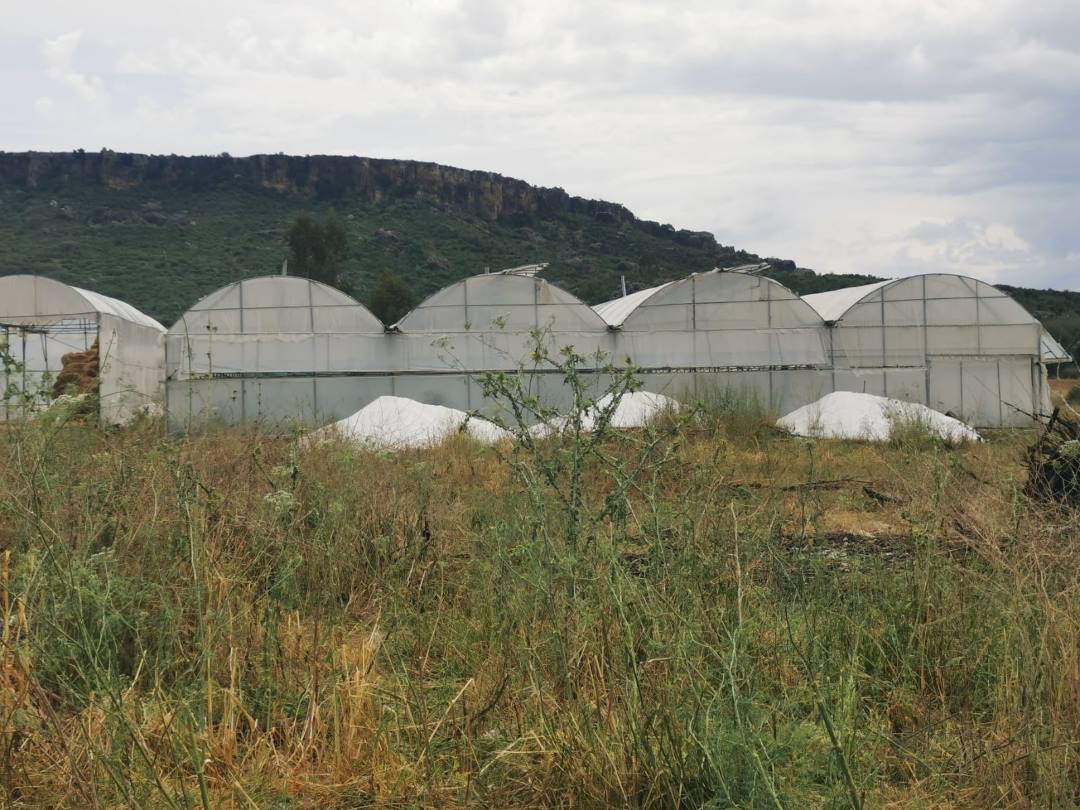Antalya’da Üreticilerin Yorucu Emeği 1 Saatte Yok Oldu 1
