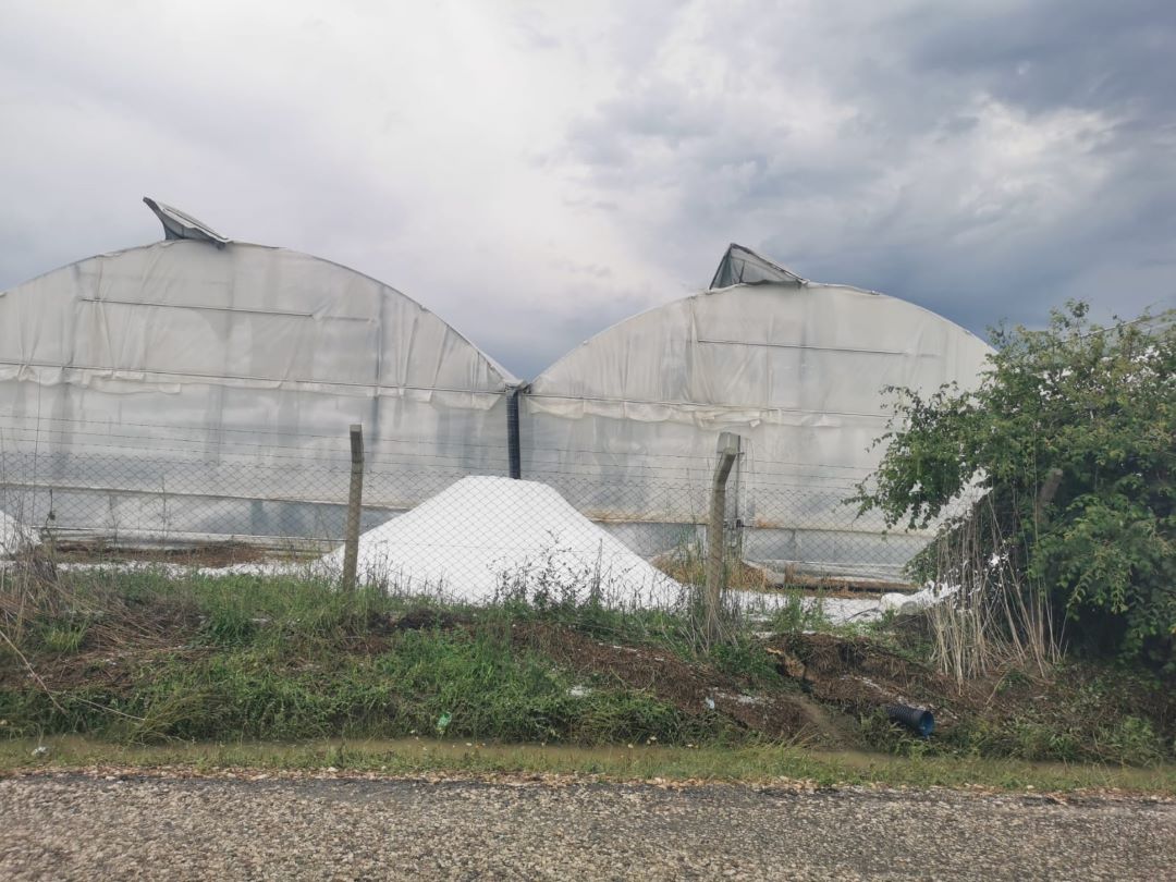 Antalya’da Üreticilerin Yorucu Emeği 1 Saatte Yok Oldu 2