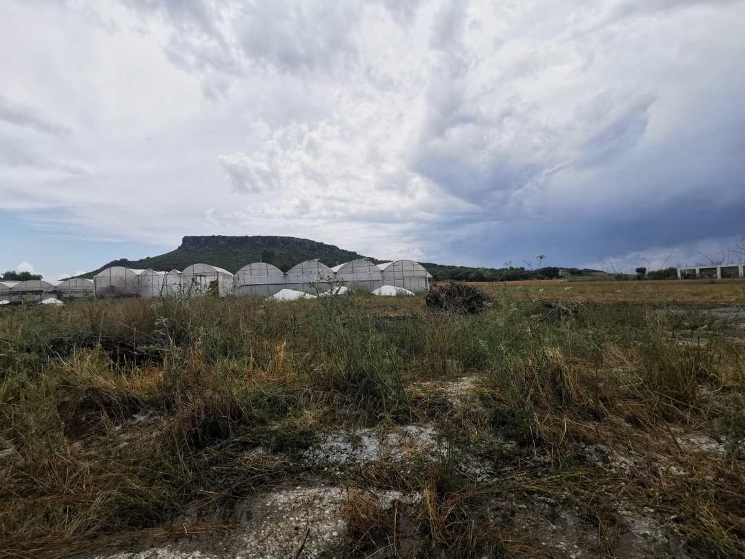 Antalya’da Üreticilerin Yorucu Emeği 1 Saatte Yok Oldu 3