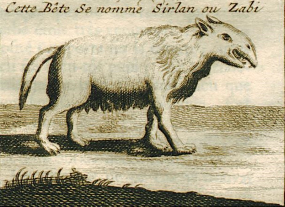 Burdur’da 3 Milyon Yıllık Mağara Kurudu! Efsane