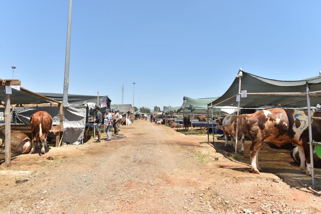 Kepez’de Kurban Kesim Alanları Açıklandı! 3